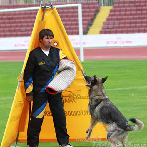 schutzhund dog training blind